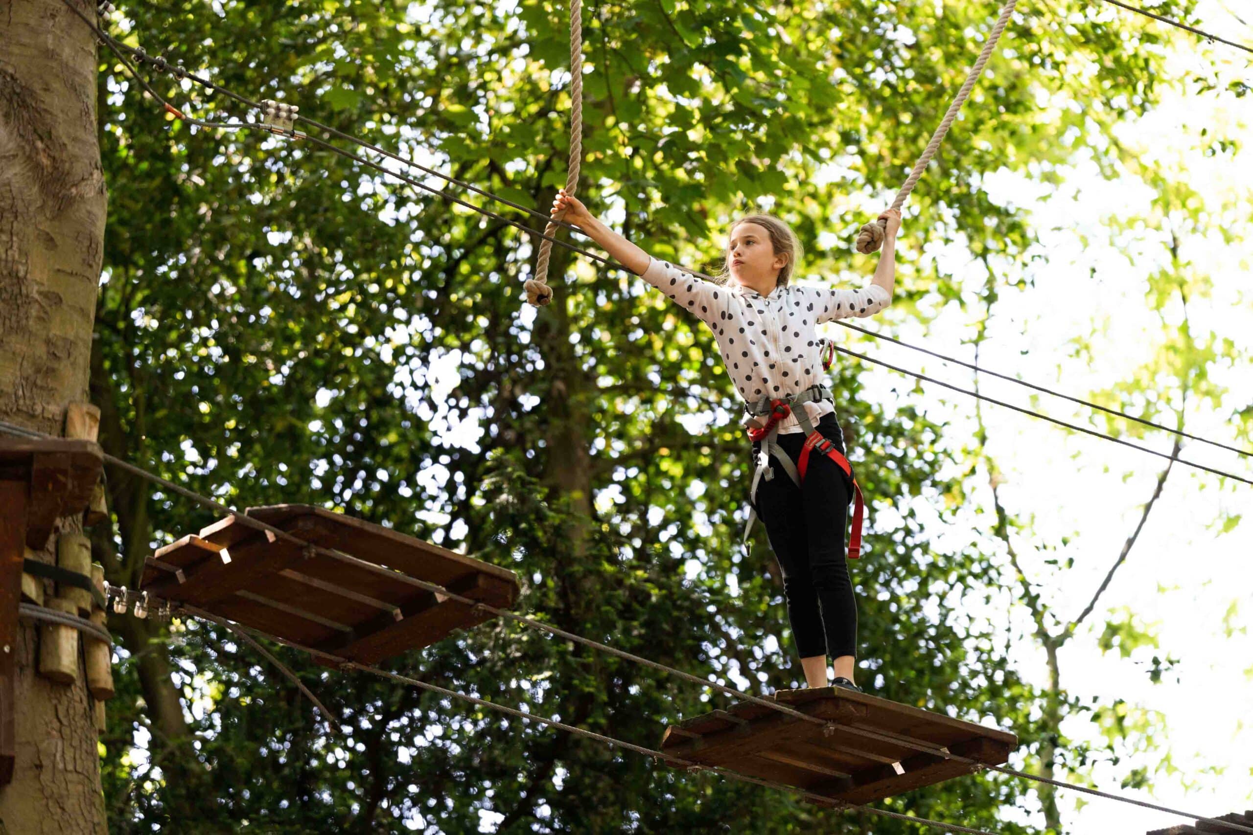 jungleparc_action-38